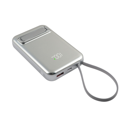 Micro USB of Type C Input Interface Safety Power Bank met CE FCC ROHS accreditatie
