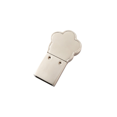 Het logo van de hoes aanpassen Metalen USB Stick 2g 2.0 poort