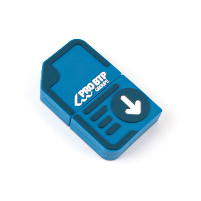 2 GB aangepaste USB-flashstations 10 jaar gegevensbewaring gratis en snel kunstwerk aanpasbaar