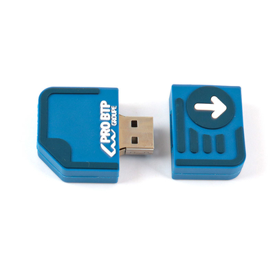 2 GB aangepaste USB-flashstations 10 jaar gegevensbewaring gratis en snel kunstwerk aanpasbaar