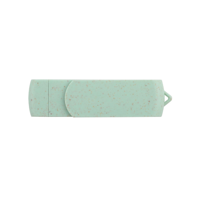 Ondersteund met wachtwoord Custom Logo Type C USB Flash Drive voor massa opslag en gegevensupload