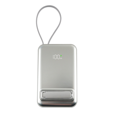 Micro USB of Type C Input Interface Safety Power Bank met CE FCC ROHS accreditatie
