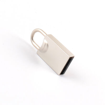 Printlogo Ondersteuning Metalen USB-flashdrive 100 procent chips Test geslaagd H2-getest Strakke mini-USB Gemakkelijk toegankelijk