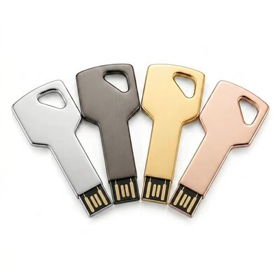 Encryptie ingeschakeld Zinklegering sleutel USB-flashdrive Aangepast ontwerp Welkom Duurzaam veilig opslagapparaat Ideaal voor bedrijven