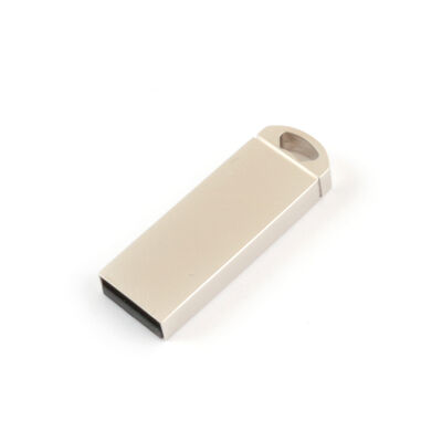 Versleutelde Metalen USB Flash Drive Compatibel met Windows Schrijfsnelheid 5 tot 10 Megabytes Per Seconde Gegevensopslagapparaat