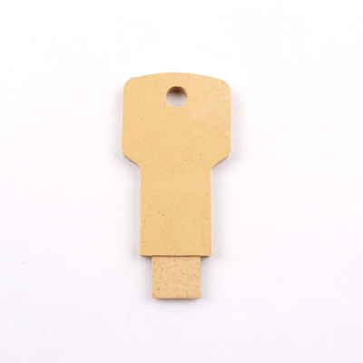 Recycleer Materiaal Overgegaane UKCA-Stok 2,0 20MB/S 128GB 64GB Certificatie Plastic van Usb