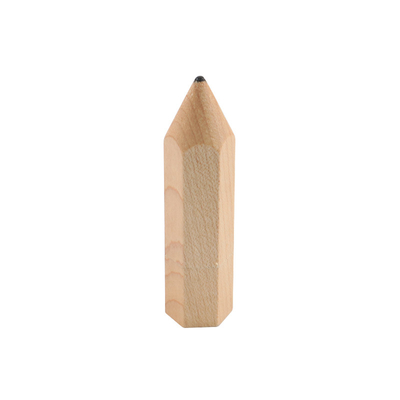 Persoonlijke 3.1 USB Flash Drive Geavanceerde opslagoplossing voor foto's Show