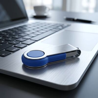 Volledig geheugen, geclassificeerd als een plastic USB-stick met led-indicator en geheugencapaciteiten 1G 2G 4G 8G 16G 32G 64G 128G 256GB 512GB
